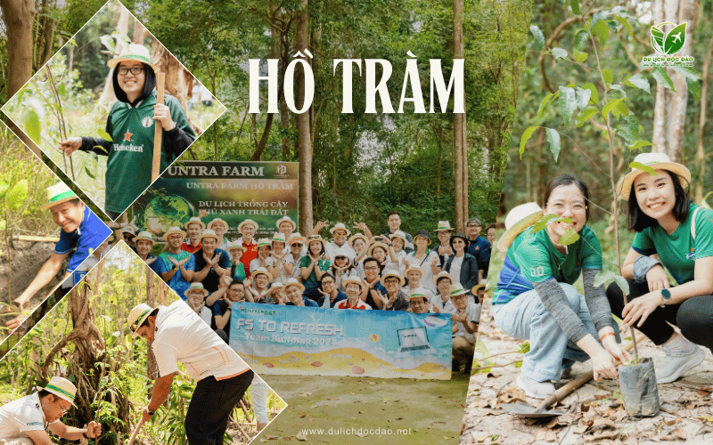 Untra Farm HỒ TrÀm