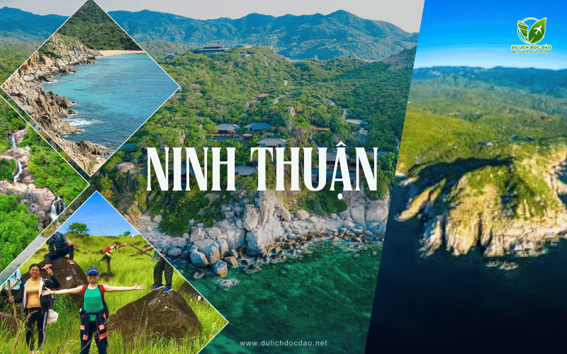 Untra Farm Ninh ThuẬn