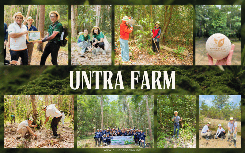 Untra Farm