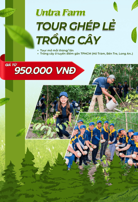 GhÉp lẺ vie