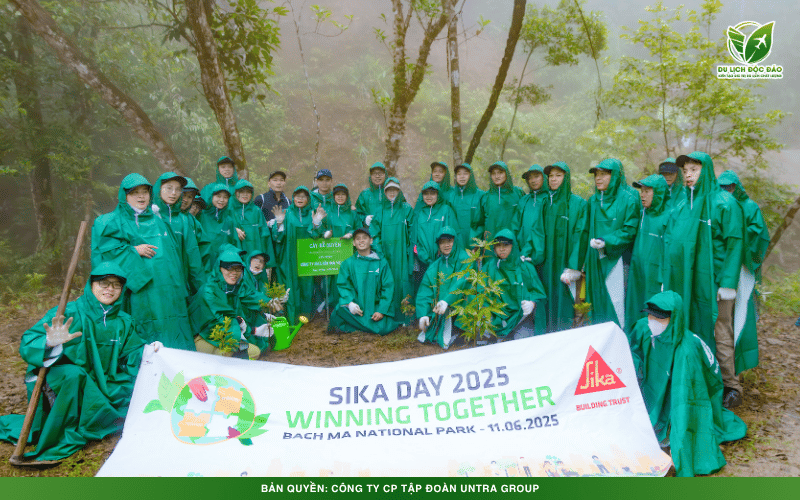 Sika central 14