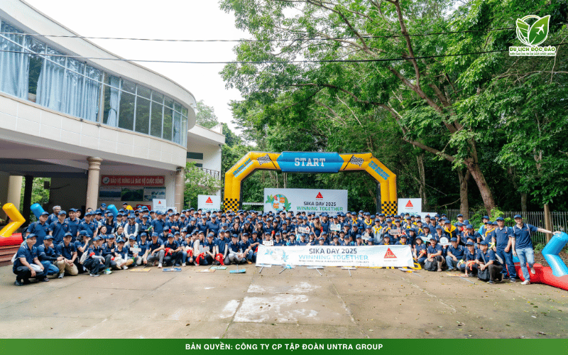 Sika north 9