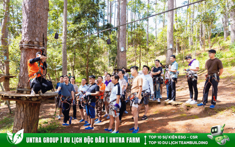 Đông dược việt (15)