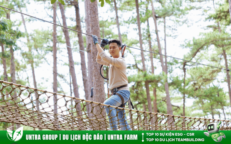 Đông dược việt (16)