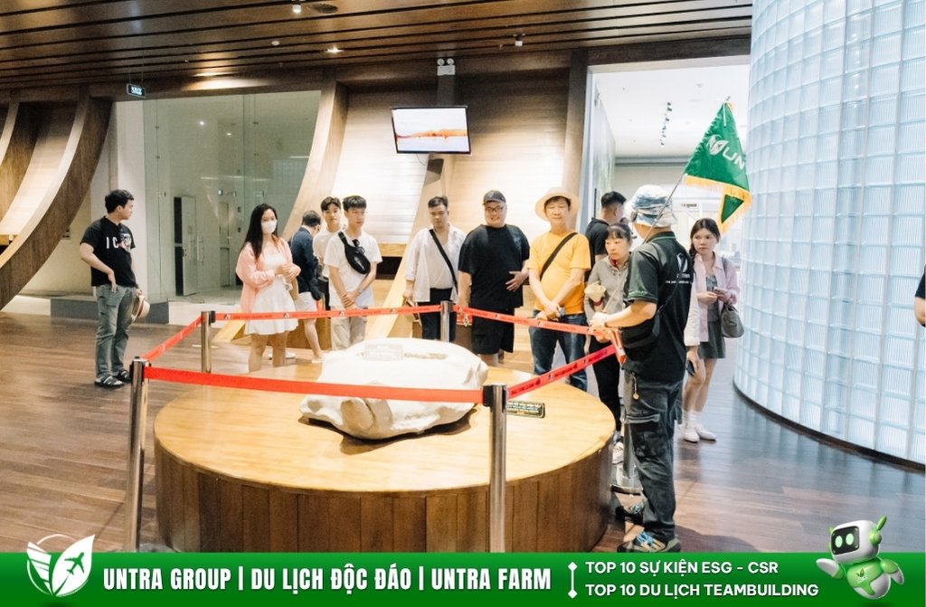 aeon miền bắc (8)
